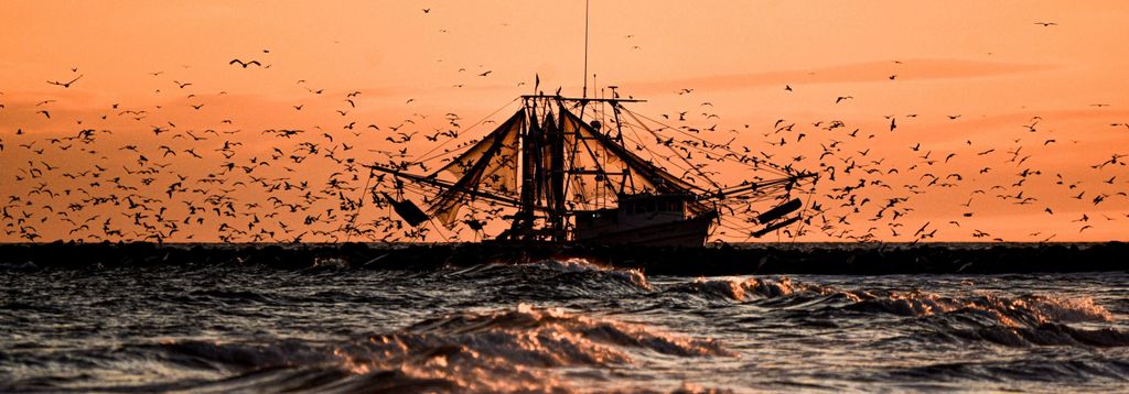 Key Largo Scuba Diving Trip - Guide Included